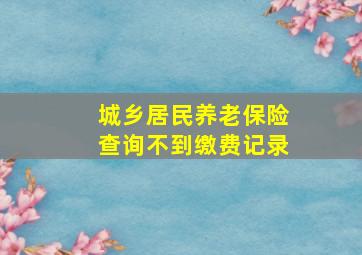 城乡居民养老保险查询不到缴费记录