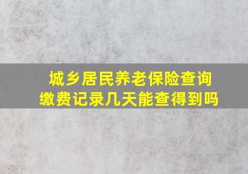 城乡居民养老保险查询缴费记录几天能查得到吗