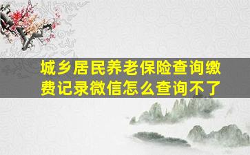 城乡居民养老保险查询缴费记录微信怎么查询不了