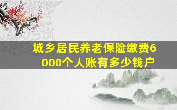 城乡居民养老保险缴费6000个人账有多少钱户