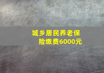 城乡居民养老保险缴费6000元