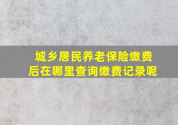 城乡居民养老保险缴费后在哪里查询缴费记录呢