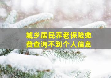 城乡居民养老保险缴费查询不到个人信息