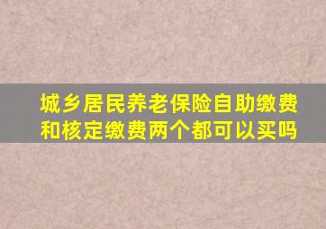 城乡居民养老保险自助缴费和核定缴费两个都可以买吗