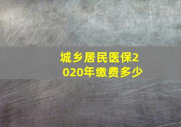 城乡居民医保2020年缴费多少