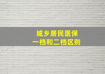 城乡居民医保一档和二档区别