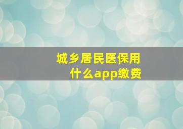 城乡居民医保用什么app缴费