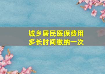 城乡居民医保费用多长时间缴纳一次