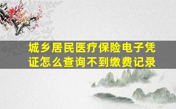 城乡居民医疗保险电子凭证怎么查询不到缴费记录