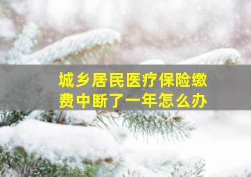 城乡居民医疗保险缴费中断了一年怎么办