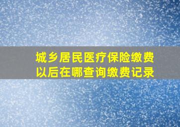 城乡居民医疗保险缴费以后在哪查询缴费记录