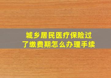 城乡居民医疗保险过了缴费期怎么办理手续