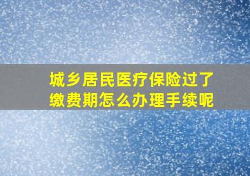 城乡居民医疗保险过了缴费期怎么办理手续呢