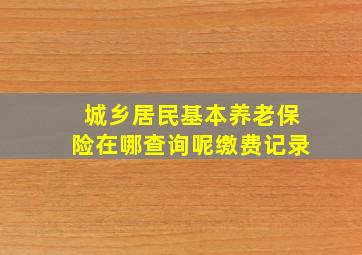 城乡居民基本养老保险在哪查询呢缴费记录