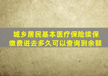 城乡居民基本医疗保险续保缴费进去多久可以查询到余额