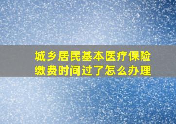 城乡居民基本医疗保险缴费时间过了怎么办理