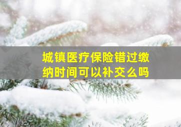 城镇医疗保险错过缴纳时间可以补交么吗