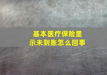 基本医疗保险显示未到账怎么回事