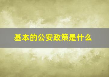 基本的公安政策是什么