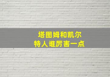 塔图姆和凯尔特人谁厉害一点