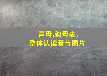 声母,韵母表,整体认读音节图片