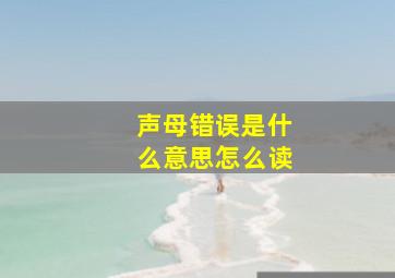 声母错误是什么意思怎么读