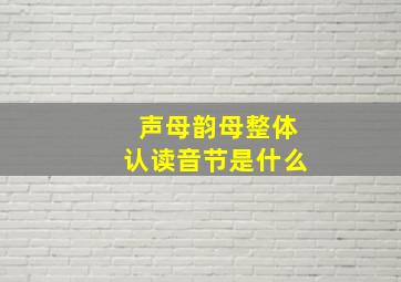 声母韵母整体认读音节是什么