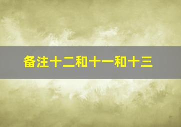 备注十二和十一和十三