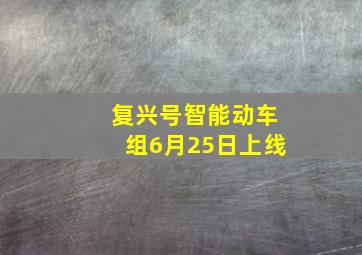 复兴号智能动车组6月25日上线