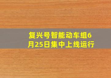 复兴号智能动车组6月25日集中上线运行