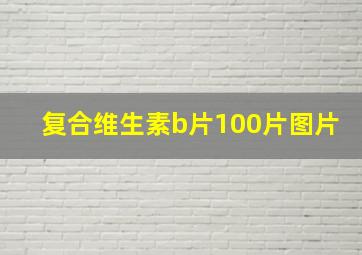 复合维生素b片100片图片