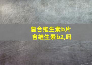 复合维生素b片含维生素b2,吗