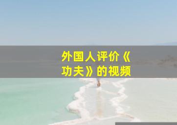 外国人评价《功夫》的视频