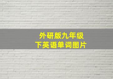 外研版九年级下英语单词图片