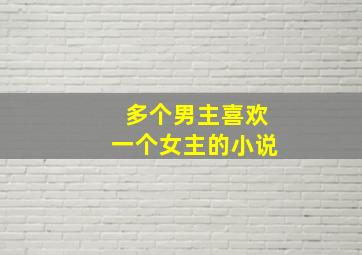 多个男主喜欢一个女主的小说