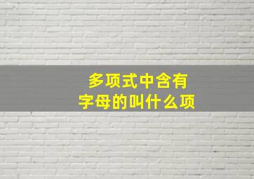 多项式中含有字母的叫什么项