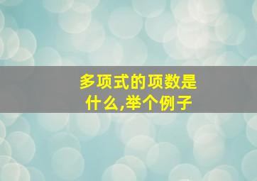 多项式的项数是什么,举个例子