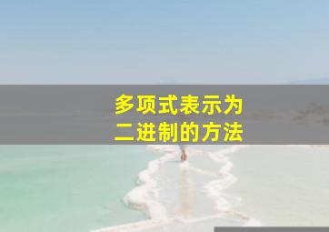 多项式表示为二进制的方法