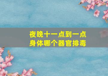 夜晚十一点到一点身体哪个器官排毒