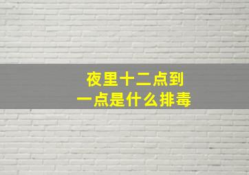 夜里十二点到一点是什么排毒