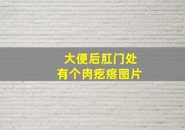 大便后肛门处有个肉疙瘩图片