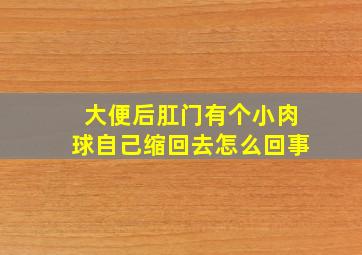 大便后肛门有个小肉球自己缩回去怎么回事