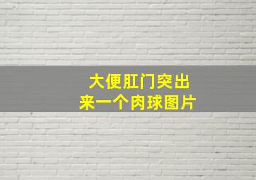 大便肛门突出来一个肉球图片