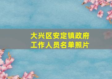 大兴区安定镇政府工作人员名单照片