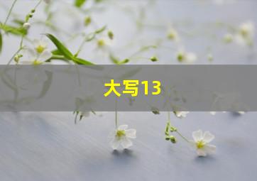 大写13