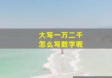 大写一万二千怎么写数字呢