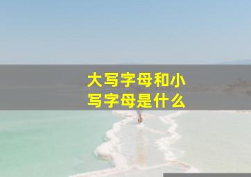 大写字母和小写字母是什么