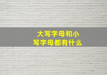 大写字母和小写字母都有什么