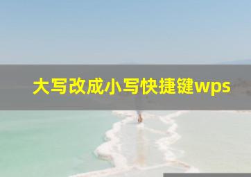 大写改成小写快捷键wps