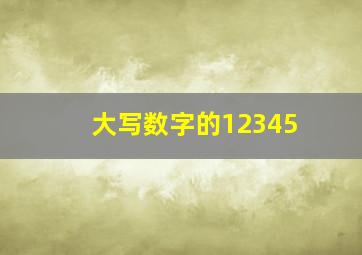 大写数字的12345